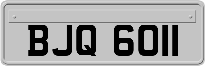 BJQ6011