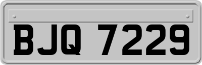 BJQ7229