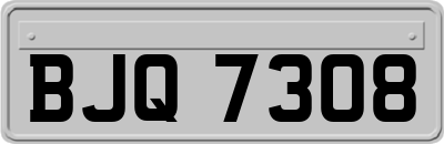 BJQ7308