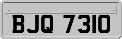 BJQ7310