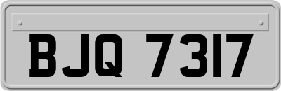BJQ7317