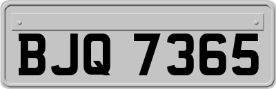 BJQ7365