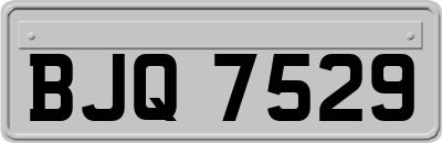 BJQ7529