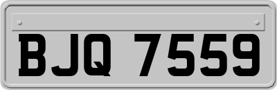 BJQ7559