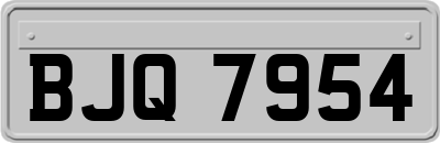 BJQ7954