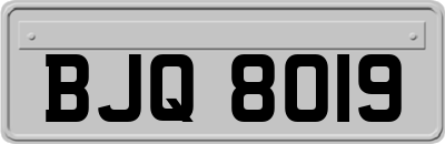 BJQ8019