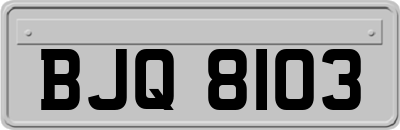 BJQ8103