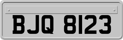 BJQ8123