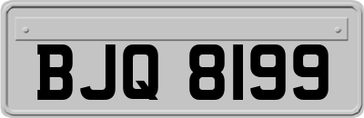 BJQ8199