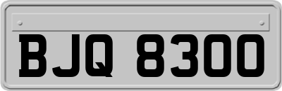 BJQ8300