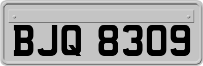 BJQ8309