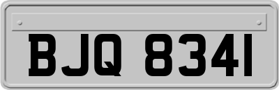 BJQ8341