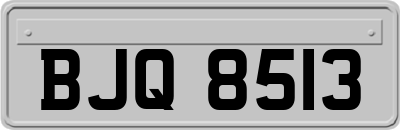 BJQ8513