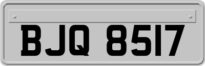 BJQ8517