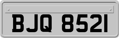 BJQ8521