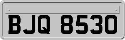 BJQ8530
