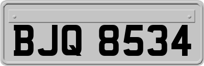 BJQ8534