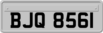 BJQ8561