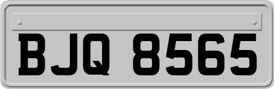 BJQ8565