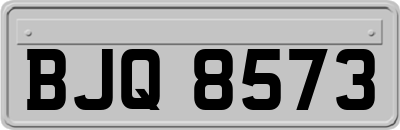 BJQ8573