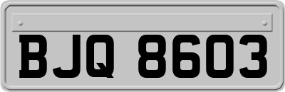 BJQ8603