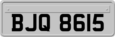 BJQ8615