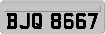 BJQ8667