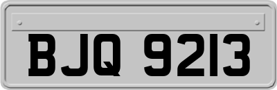 BJQ9213