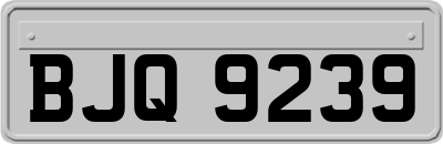 BJQ9239