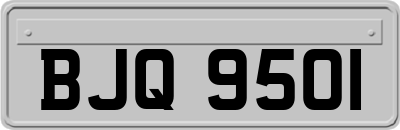 BJQ9501