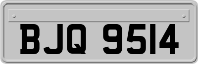 BJQ9514