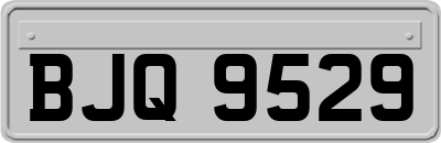 BJQ9529