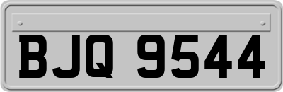 BJQ9544