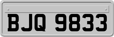 BJQ9833