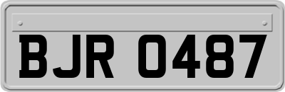 BJR0487