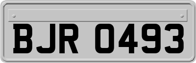 BJR0493