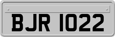 BJR1022