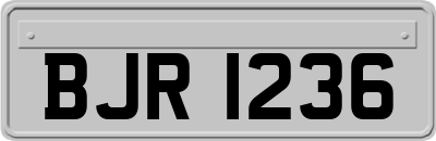 BJR1236