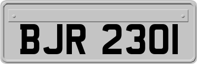 BJR2301