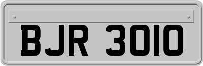 BJR3010