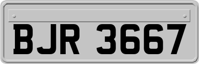 BJR3667