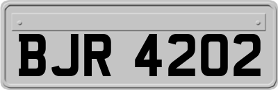 BJR4202