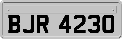 BJR4230