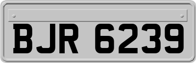 BJR6239