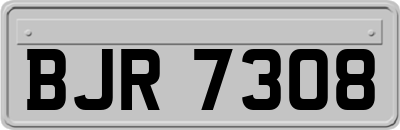 BJR7308