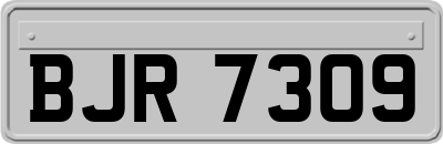 BJR7309