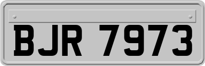 BJR7973