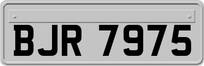 BJR7975