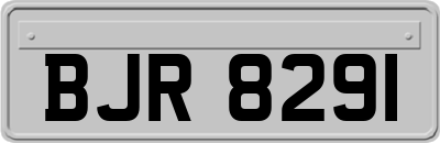 BJR8291