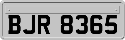 BJR8365